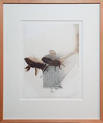 sanlucur…  lithografie u. firnis 